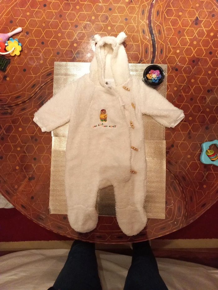 Combi pilote gigoteuse chaude - photo numéro 2