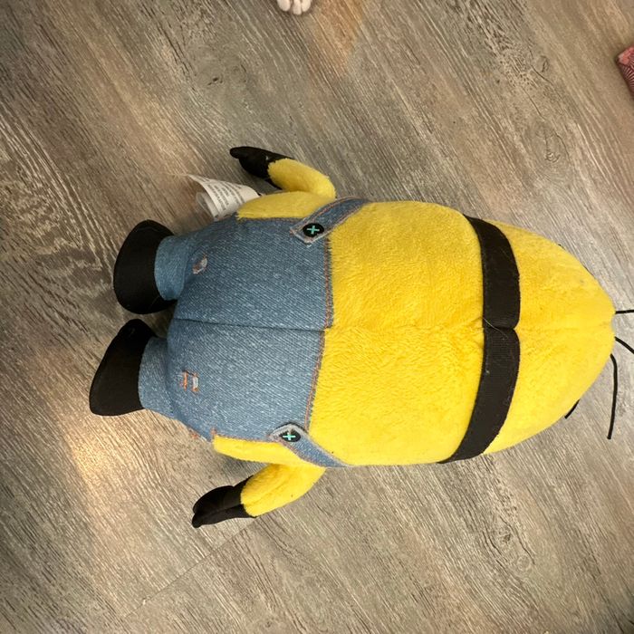 Minion - photo numéro 2