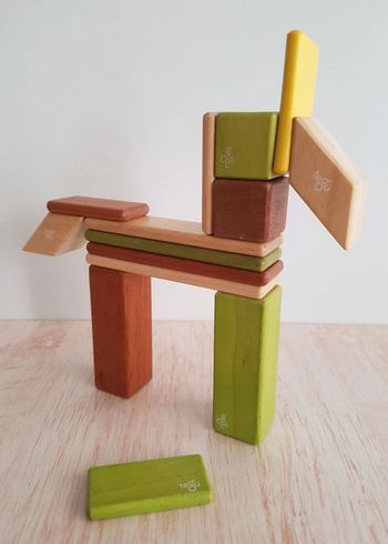 Jeu de construction magnétique en bois Tegu