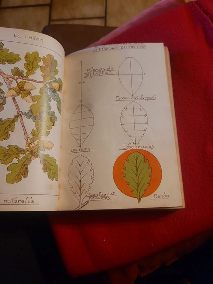 Revue belge de la pédagogie 1926 - photo numéro 13