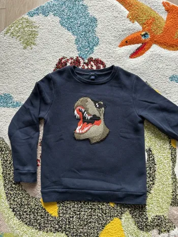 Pull molletonné dinosaure 8 ans