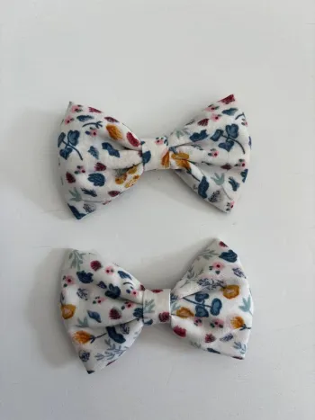Barrettes