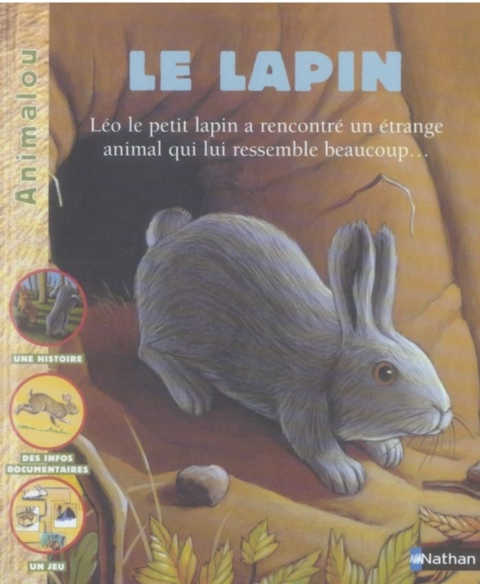 🤩 Le lapin