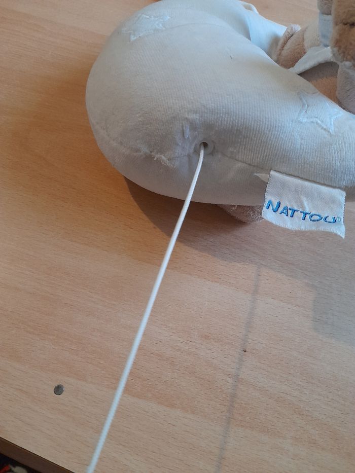 Lune musicale - photo numéro 4