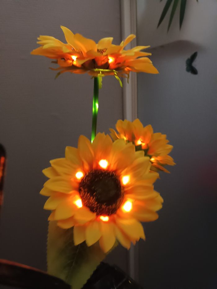 Lumière decorative - photo numéro 3