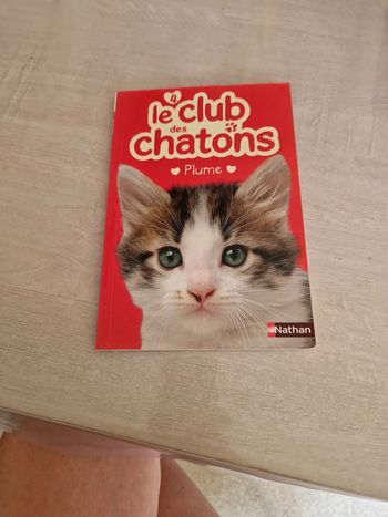 Le club des chatons