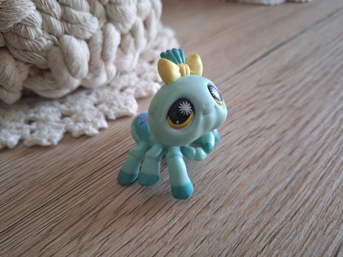 Petshop araignée #1760 - photo numéro 2