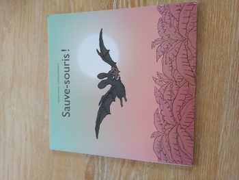 Sauve-souris dès 5 ans - Très bon état