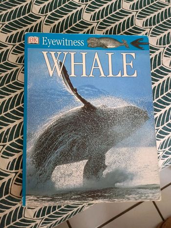 Livre sur les baleines - whale