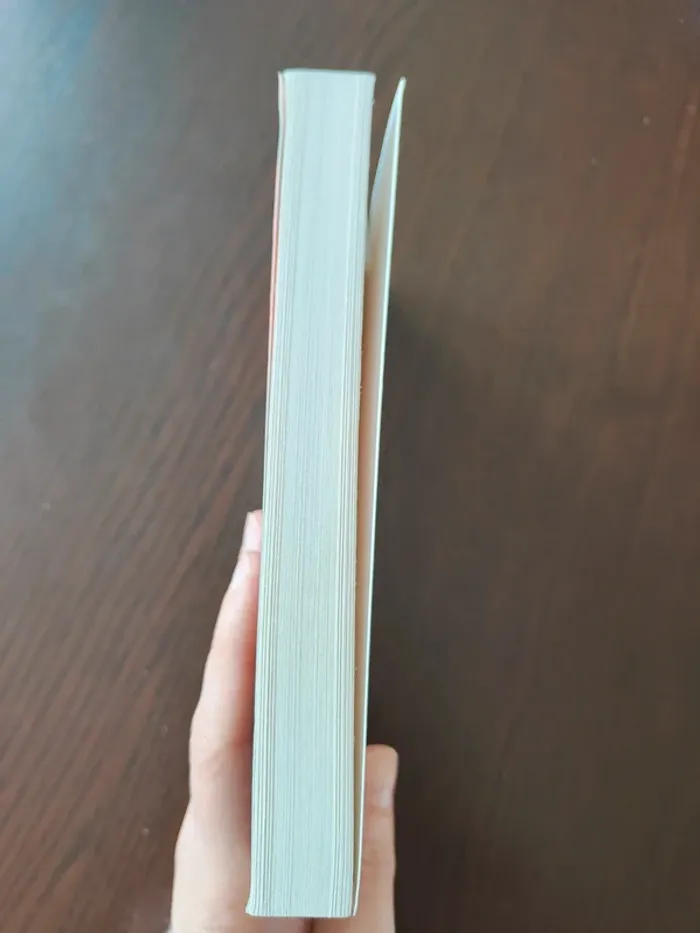 Livre L'amour ouf - photo numéro 4