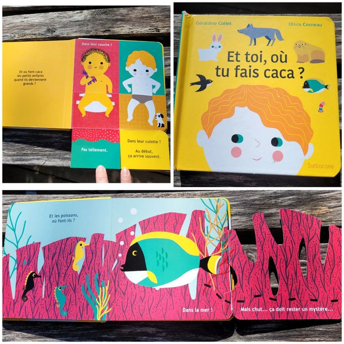 Très joli livre à volets, éditions Sarbacane, Et toi, où tu fais caca? (71)