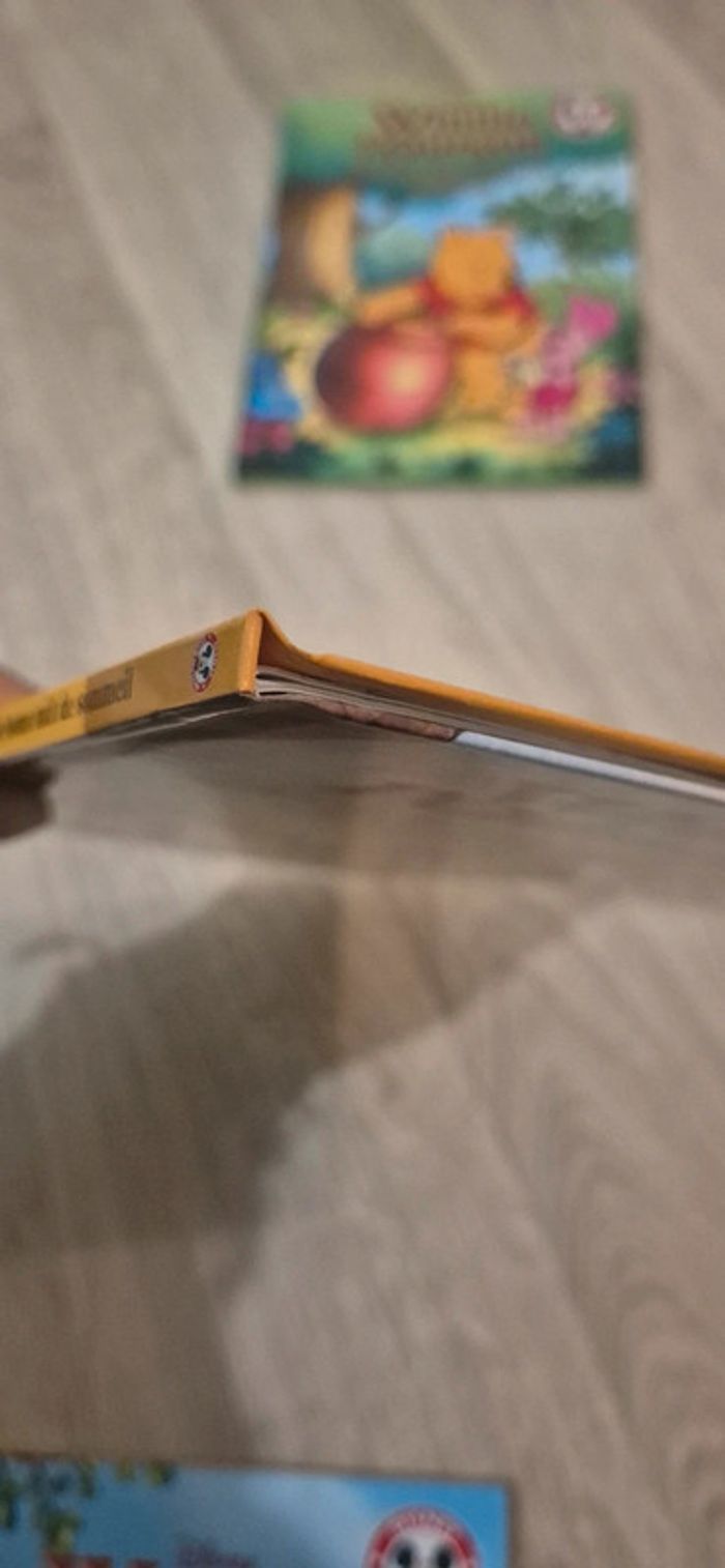 Lot de 3 livres - Winnie l'ourson - photo numéro 9