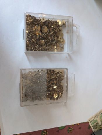 Punaises