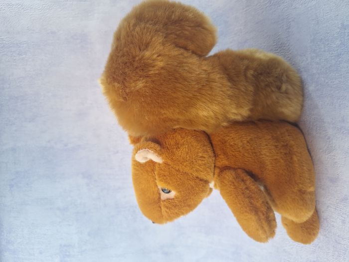 Peluche écureuil très Doux Doudou et compagnie - photo numéro 3