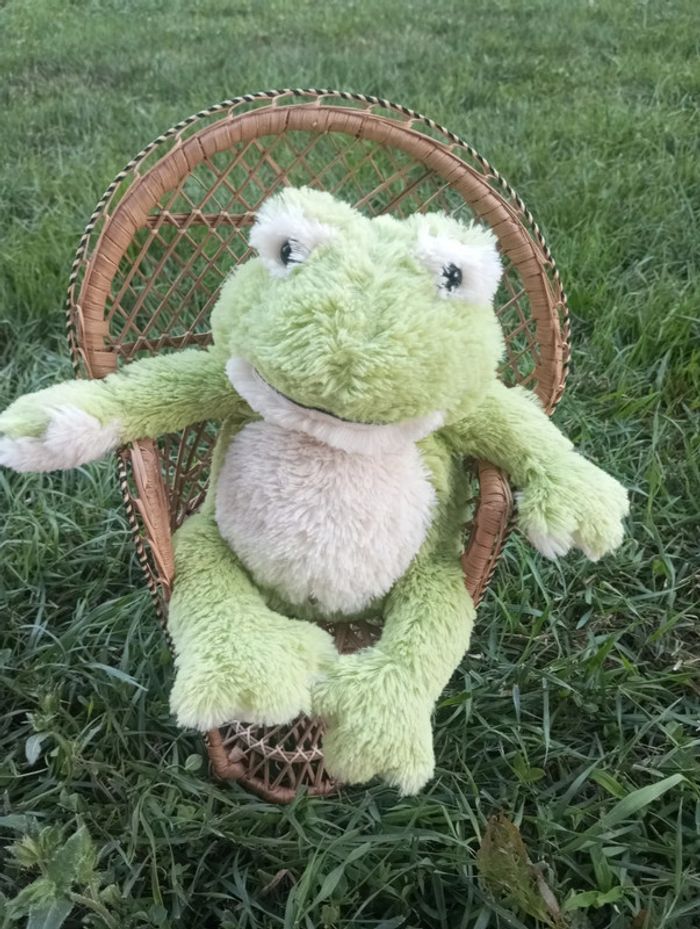 Bouillotte Grenouille neuve