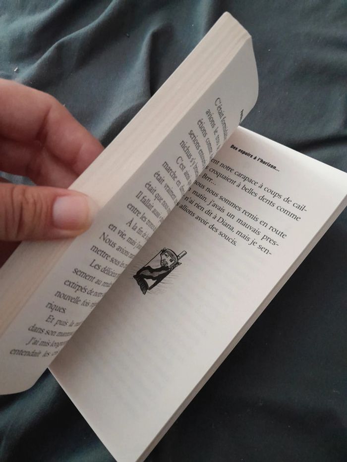 Livre perdu chez les dinosaures - photo numéro 6