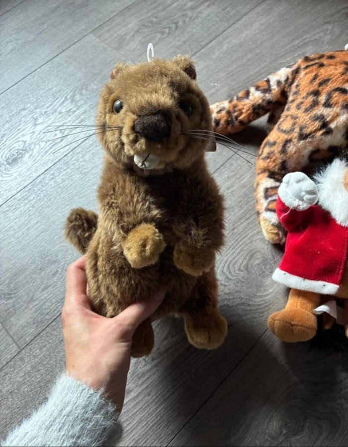 Lot de peluches - photo numéro 2