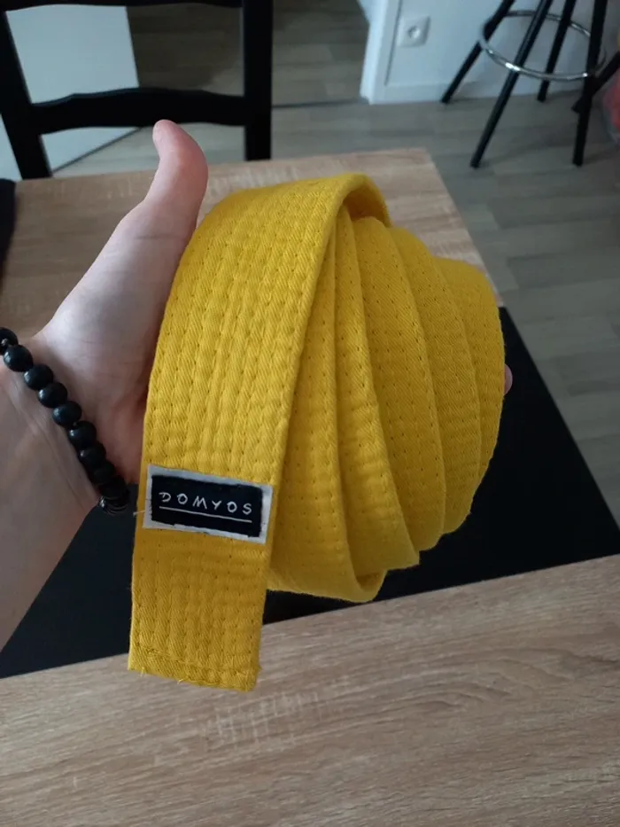 Ceinture jaune arts martiaux 280 - photo numéro 2
