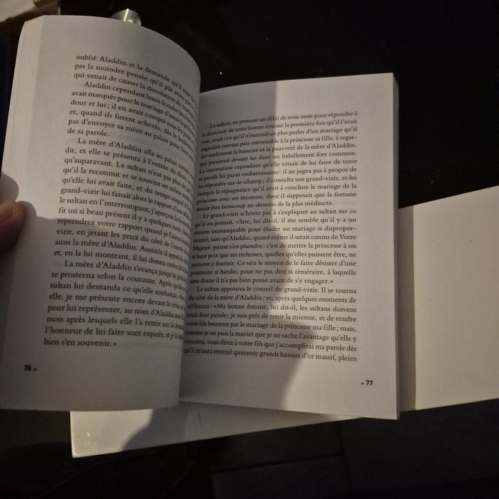 Livre Aladdin - photo numéro 3
