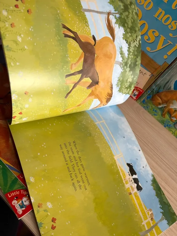 Lot de 5 livres pour enfants - Little Tiger Press en anglais - photo numéro 3