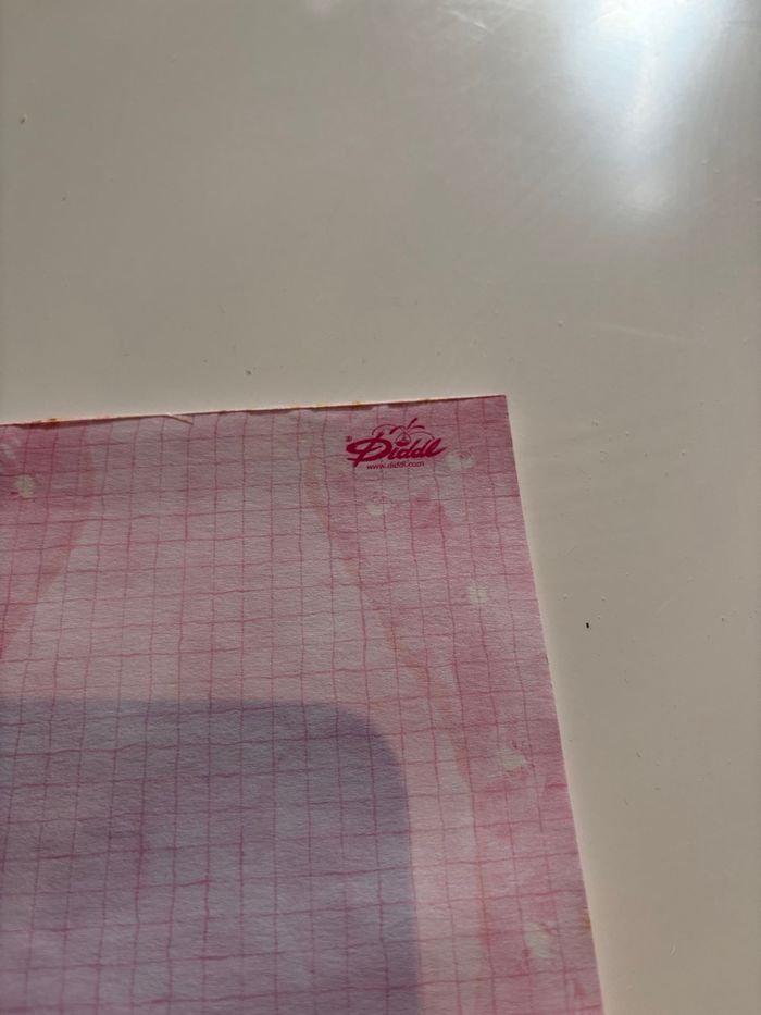 Bloc notes quadrillé Diddl rose avec frise Diddlina ballerine - photo numéro 3