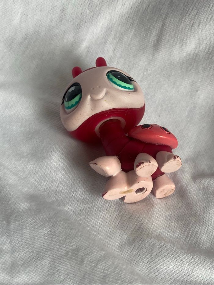 lps coccinelle - photo numéro 3