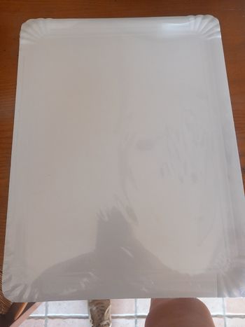 Lot 3 plats en carton 30x39 cm.