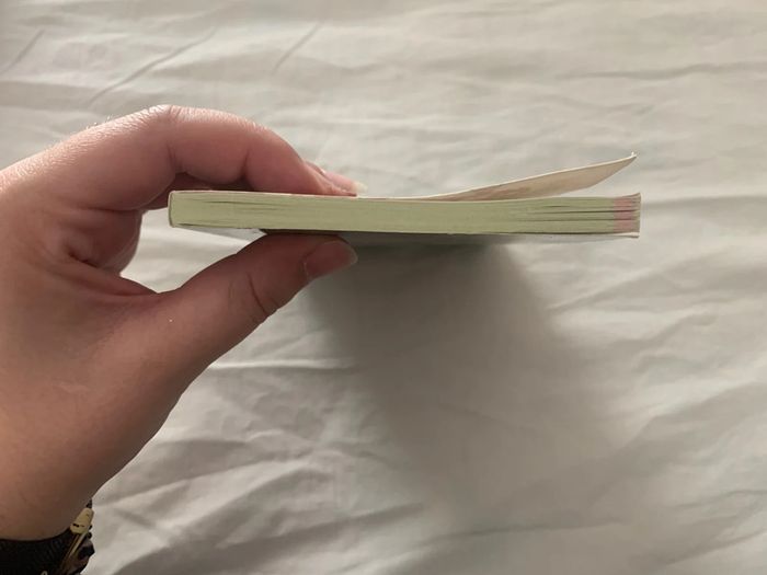 Scooby-Doo! Détective et l’affaire du chevalier des ténèbres - photo numéro 5