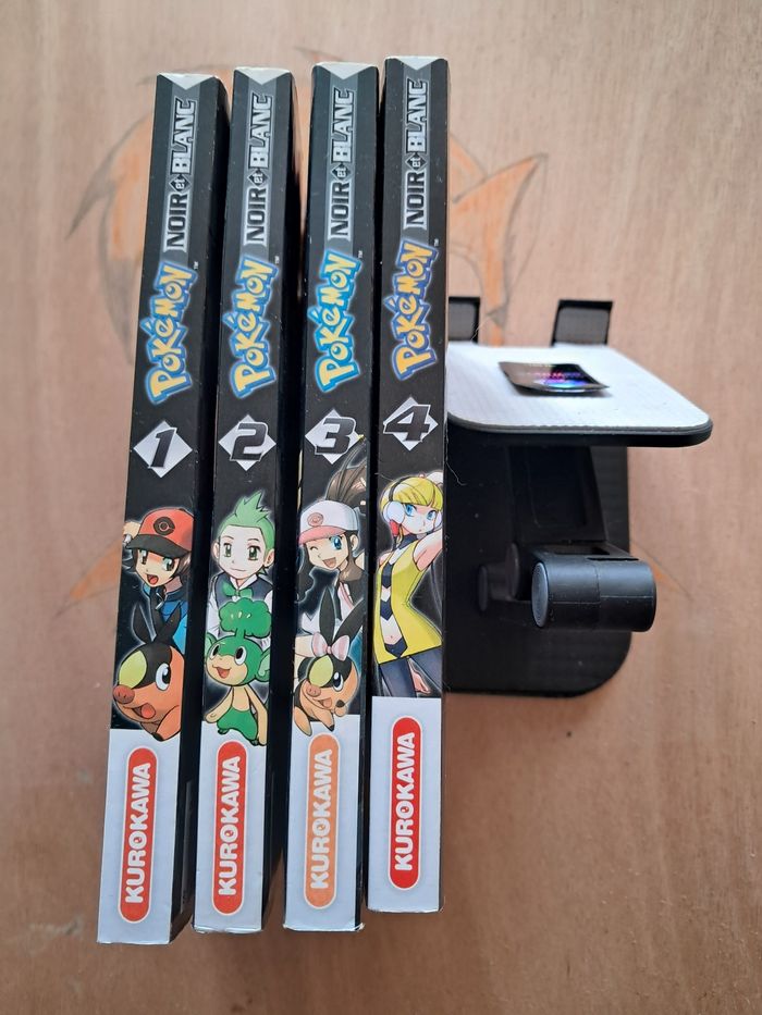 Manga pokemon noir et blanc - photo numéro 2