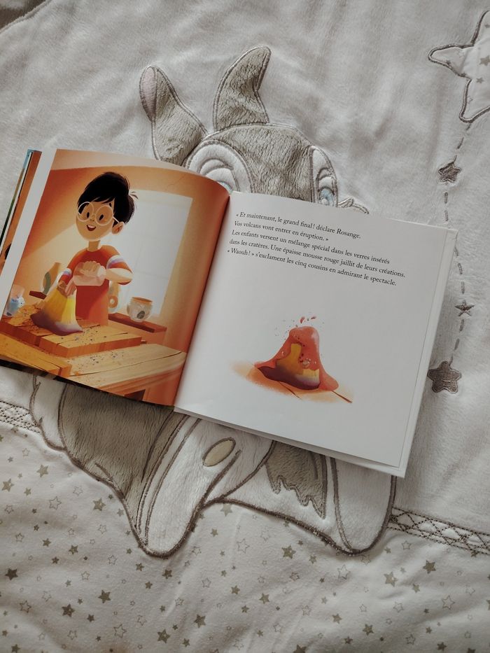 Livre le volcan - photo numéro 3