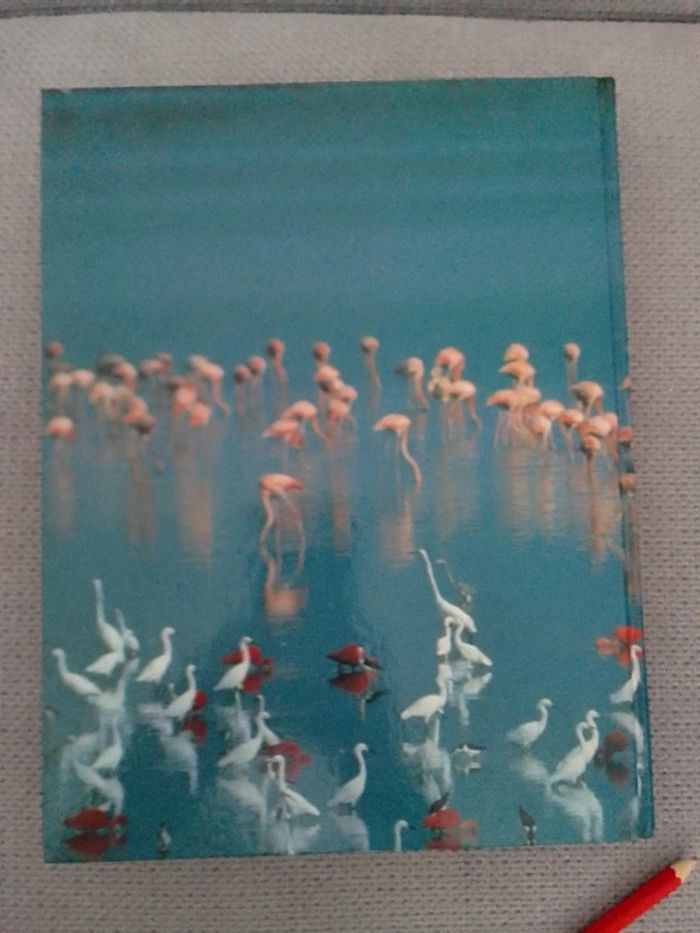 ABC de la nature - photo numéro 2