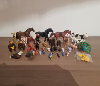 Lot animaux