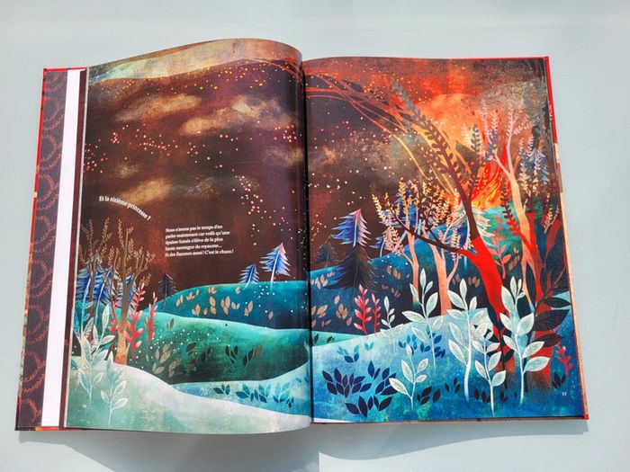 Magnifique livre Mystérieuses Princesses avec des touches métallisées (40) - photo numéro 7