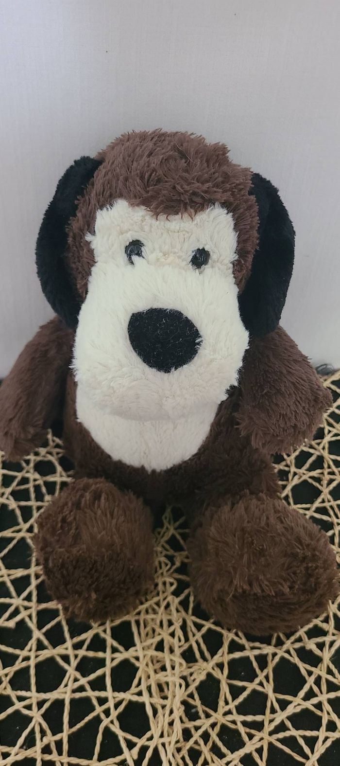 Chien blanc marron aux oreilles noires