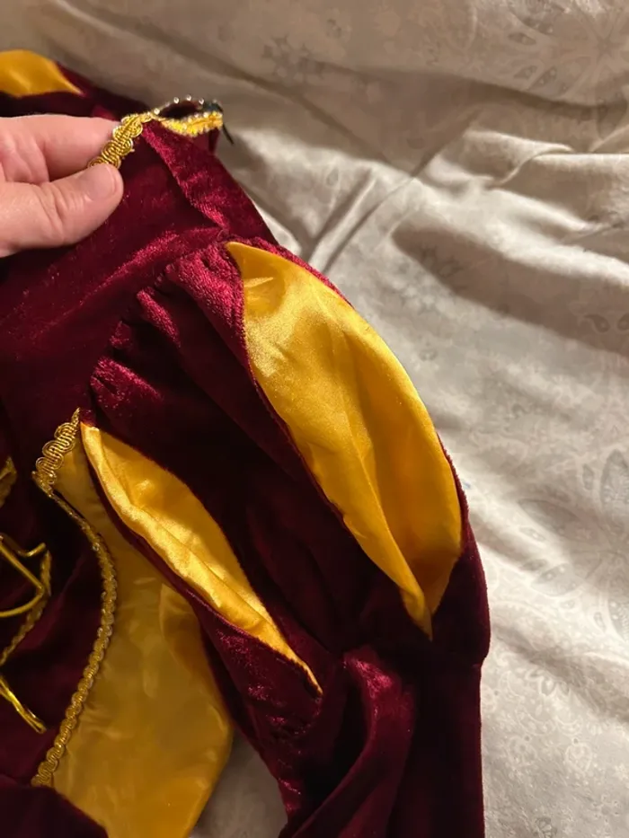 Lot de robe déguisement - photo numéro 5
