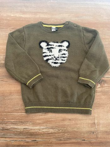 Pull tigre