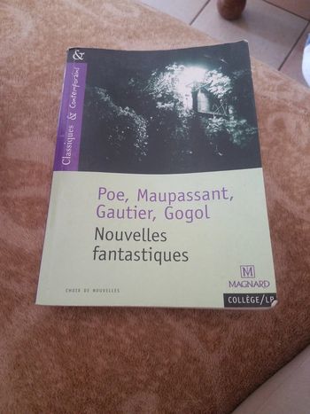 Nouvelles fantastique