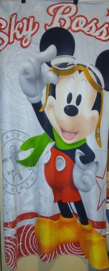 Plaid Mickey