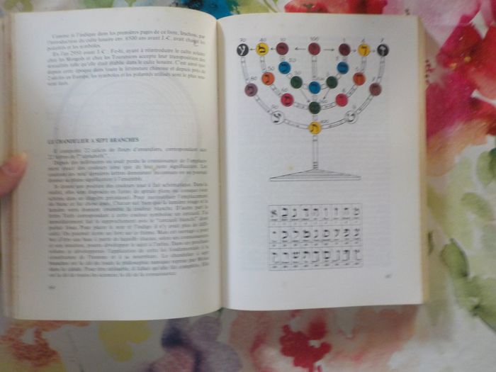 INITIATION SOLAIRE RAMIQUE RESTITUEE par André COTTY - photo numéro 10