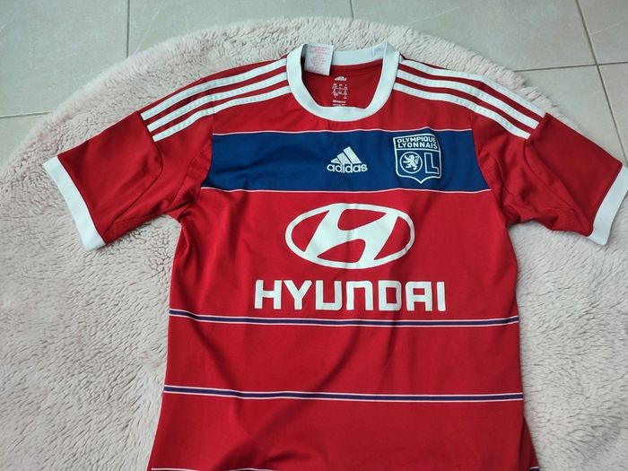 Ensemble olympique lyonnais 2013-2014 - photo numéro 5