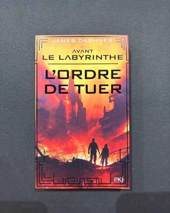 Livres  Le  Labyrinthe - photo numéro 4