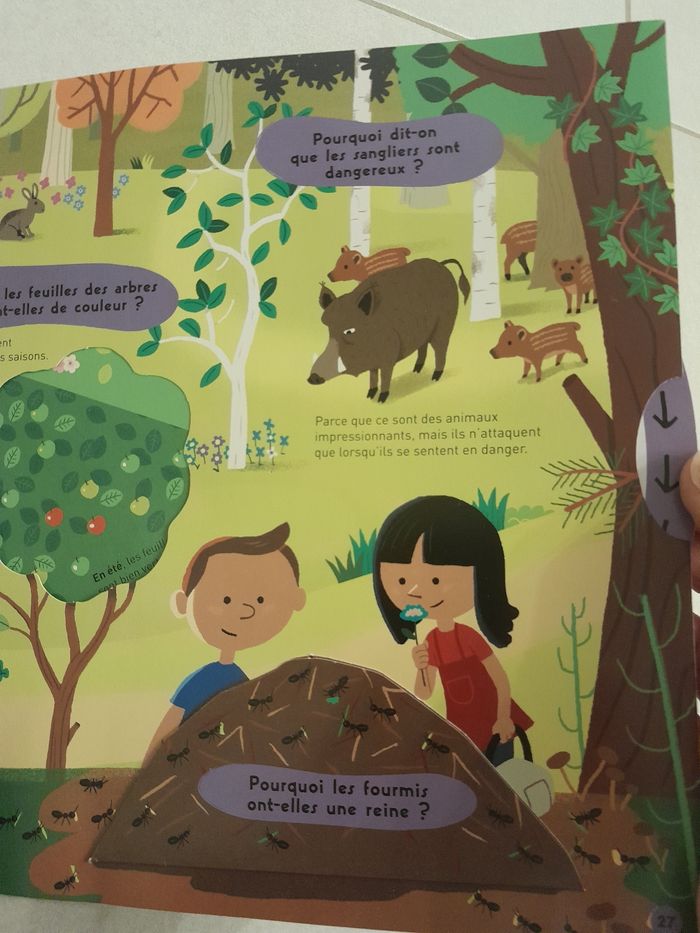 Kididoc des pourquoi - photo numéro 5
