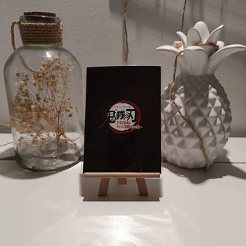 Pellicule démon slayer sous blister