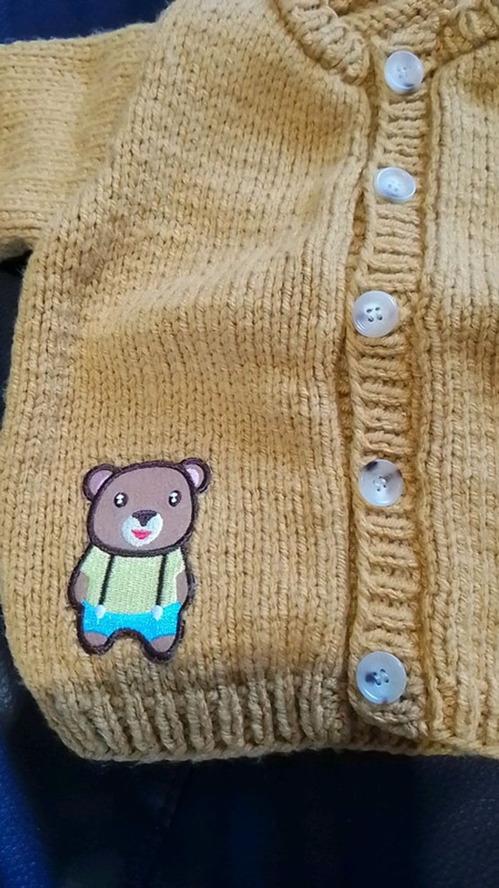 Pull ours - photo numéro 2
