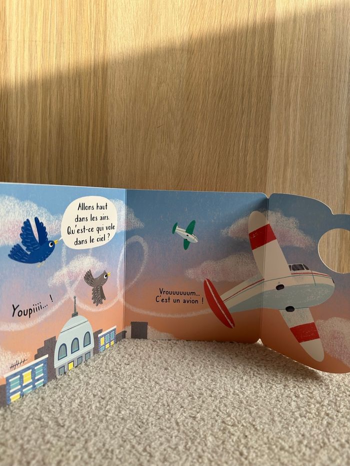 Livre dans le ciel - photo numéro 3