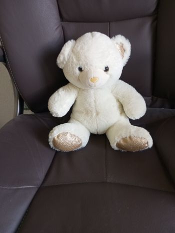 Joli nounours 