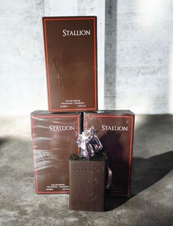 Parfums Stallion homme 