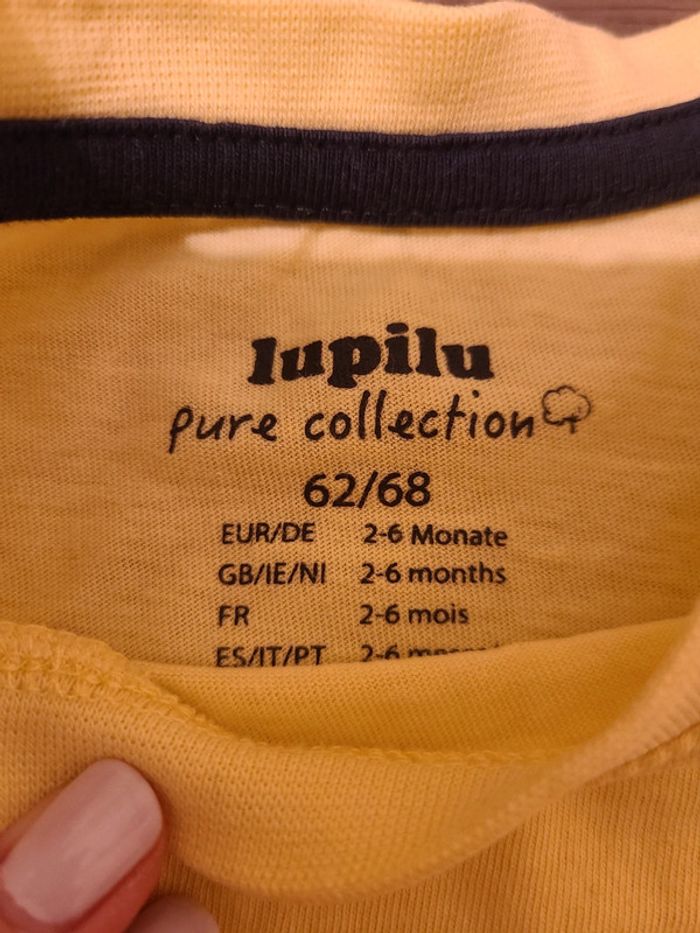 Pulls fin 6 mois - photo numéro 2