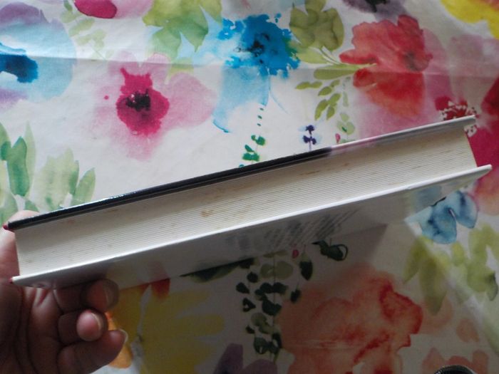 Rivaux de Janet Dailey Ed. France Loisirs - photo numéro 4