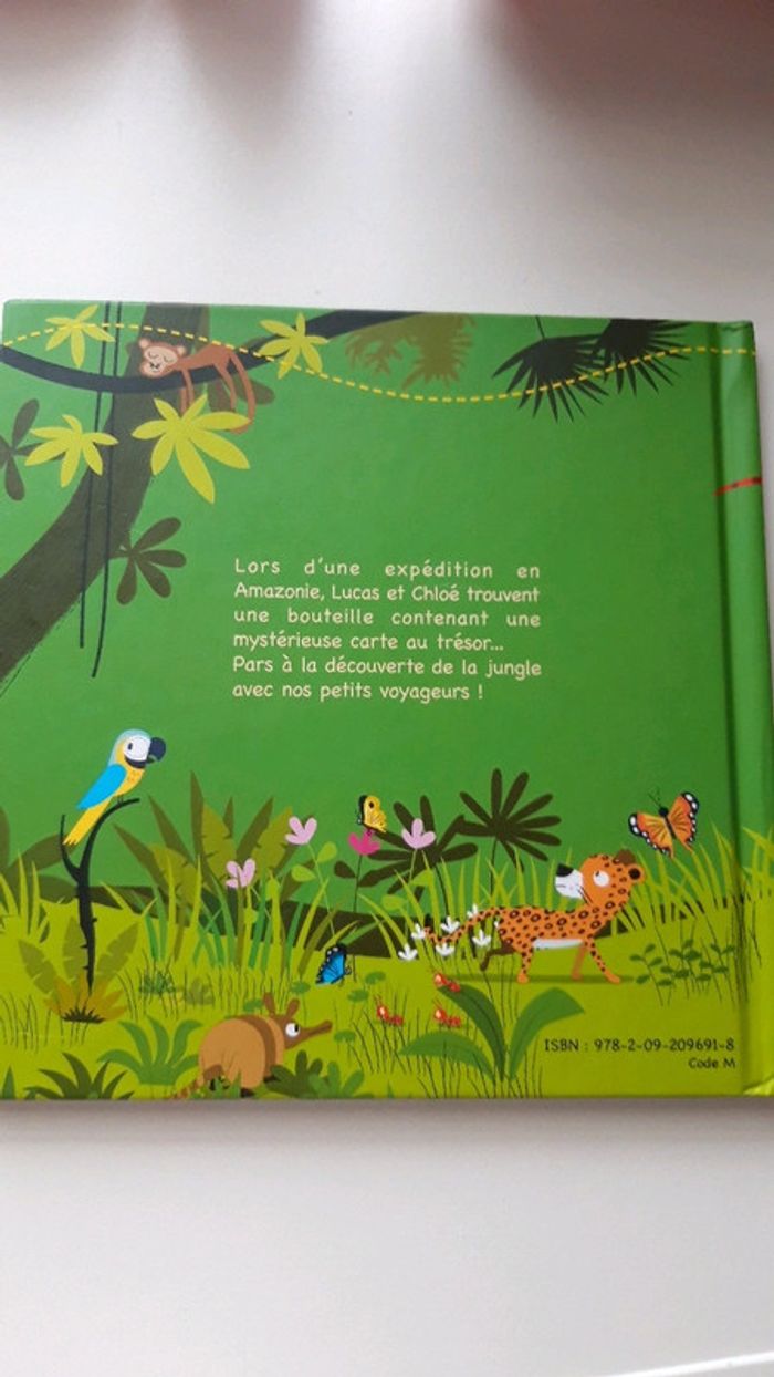 Le trésor de la jungle - photo numéro 3